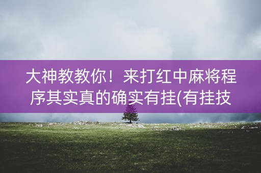 大神教教你！来打红中麻将程序其实真的确实有挂(有挂技巧辅助器)