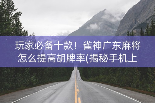 玩家必备十款！雀神广东麻将怎么提高胡牌率(揭秘手机上提高赢的概率)