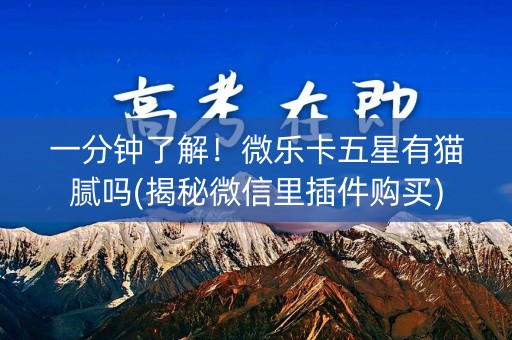 一分钟了解！微乐卡五星有猫腻吗(揭秘微信里插件购买)