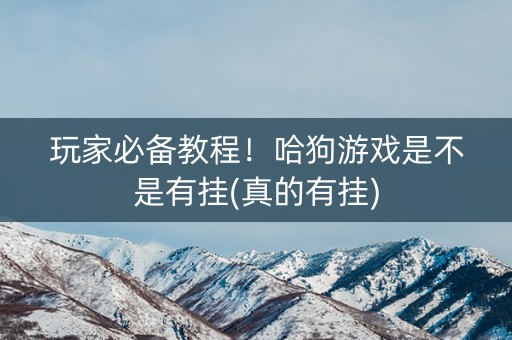 玩家必备教程！哈狗游戏是不是有挂(真的有挂)