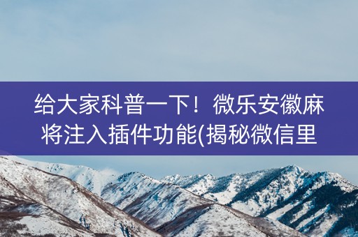 给大家科普一下！微乐安徽麻将注入插件功能(揭秘微信里插件购买)
