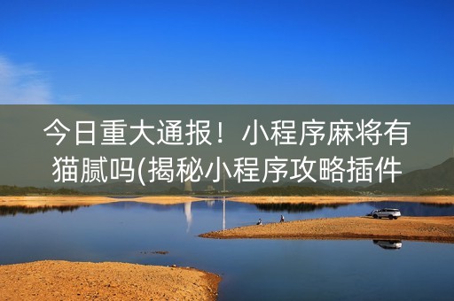 今日重大通报！小程序麻将有猫腻吗(揭秘小程序攻略插件)
