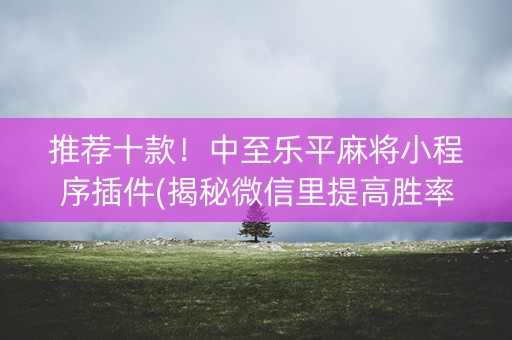 推荐十款！中至乐平麻将小程序插件(揭秘微信里提高胜率)