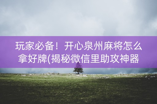 玩家必备！开心泉州麻将怎么拿好牌(揭秘微信里助攻神器)