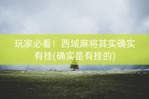 玩家必看！西域麻将其实确实有挂(确实是有挂的)