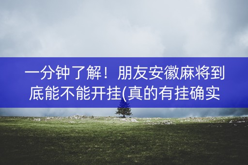 一分钟了解！朋友安徽麻将到底能不能开挂(真的有挂确实有挂)
