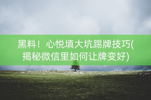 黑料！心悦填大坑踢牌技巧(揭秘微信里如何让牌变好)