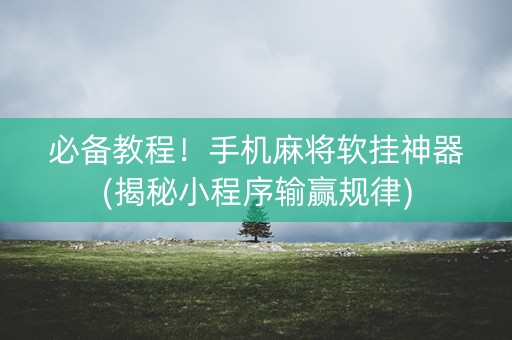 必备教程！手机麻将软挂神器(揭秘小程序输赢规律)