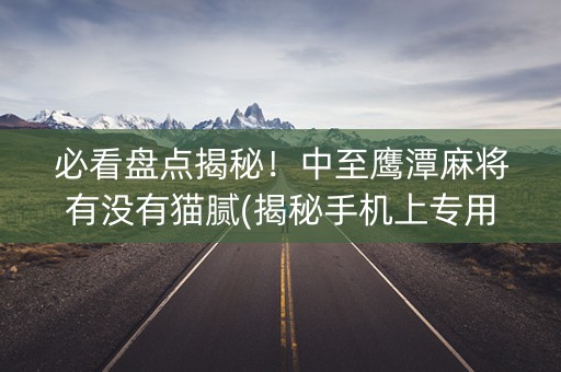 必看盘点揭秘！中至鹰潭麻将有没有猫腻(揭秘手机上专用神器下载)