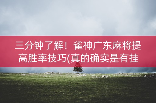 三分钟了解！雀神广东麻将提高胜率技巧(真的确实是有挂)