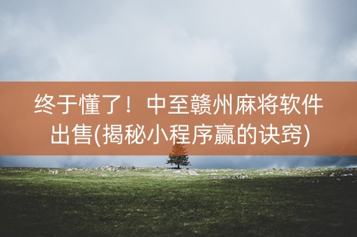 终于懂了！中至赣州麻将软件出售(揭秘小程序赢的诀窍)