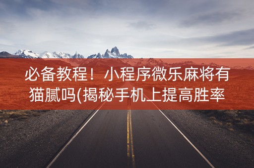 必备教程！小程序微乐麻将有猫腻吗(揭秘手机上提高胜率)