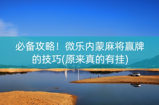 必备攻略！微乐内蒙麻将赢牌的技巧(原来真的有挂)