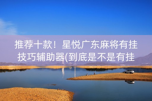 推荐十款！星悦广东麻将有挂技巧辅助器(到底是不是有挂)