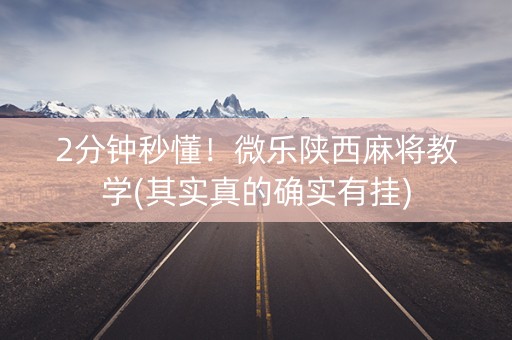 2分钟秒懂！微乐陕西麻将教学(其实真的确实有挂)