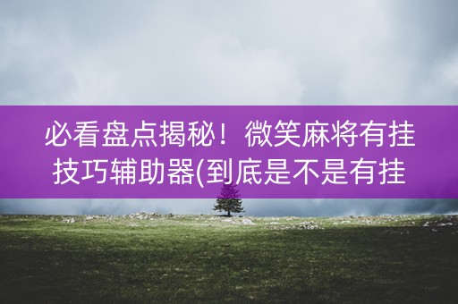 必看盘点揭秘！微笑麻将有挂技巧辅助器(到底是不是有挂)