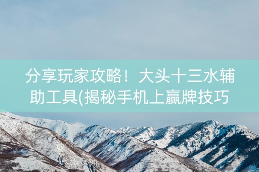 分享玩家攻略！大头十三水辅助工具(揭秘手机上赢牌技巧)