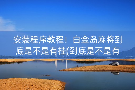 安装程序教程！白金岛麻将到底是不是有挂(到底是不是有挂)
