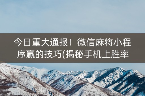 今日重大通报！微信麻将小程序赢的技巧(揭秘手机上胜率到哪调)