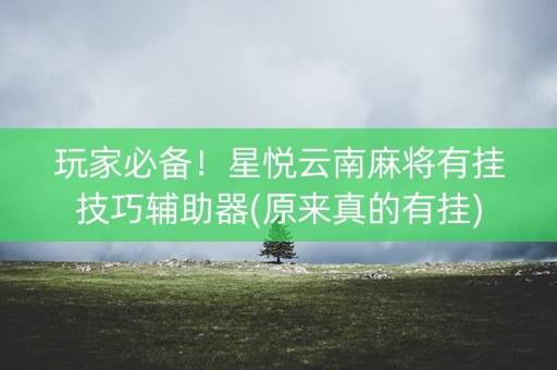玩家必备！星悦云南麻将有挂技巧辅助器(原来真的有挂)