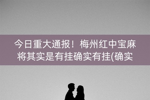 今日重大通报！梅州红中宝麻将其实是有挂确实有挂(确实是有挂的)