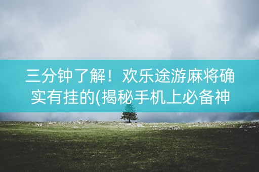 三分钟了解！欢乐途游麻将确实有挂的(揭秘手机上必备神器)