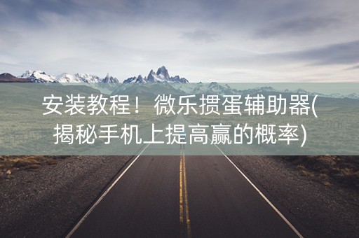 安装教程！微乐掼蛋辅助器(揭秘手机上提高赢的概率)