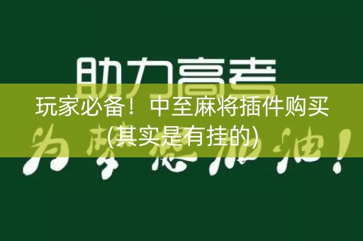 玩家必备！中至麻将插件购买(其实是有挂的)