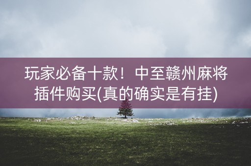 玩家必备十款！中至赣州麻将插件购买(真的确实是有挂)