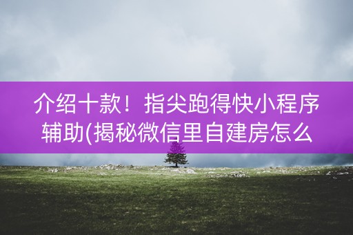 介绍十款！指尖跑得快小程序辅助(揭秘微信里自建房怎么赢)