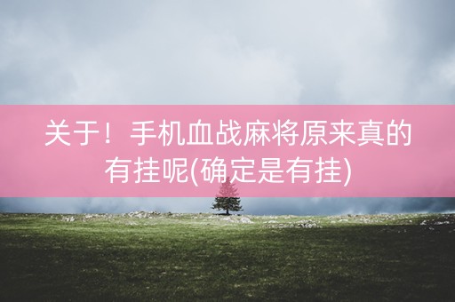关于！手机血战麻将原来真的有挂呢(确定是有挂)