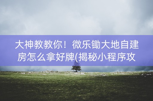 大神教教你！微乐锄大地自建房怎么拿好牌(揭秘小程序攻略插件)