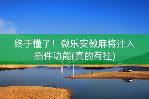 终于懂了！微乐安徽麻将注入插件功能(真的有挂)
