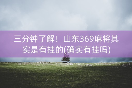 三分钟了解！山东369麻将其实是有挂的(确实有挂吗)
