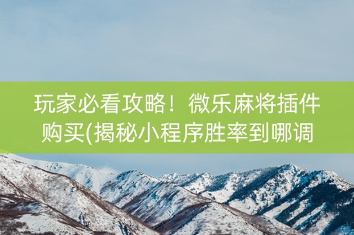 玩家必看攻略！微乐麻将插件购买(揭秘小程序胜率到哪调)