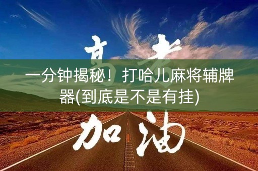 一分钟揭秘！打哈儿麻将辅牌器(到底是不是有挂)