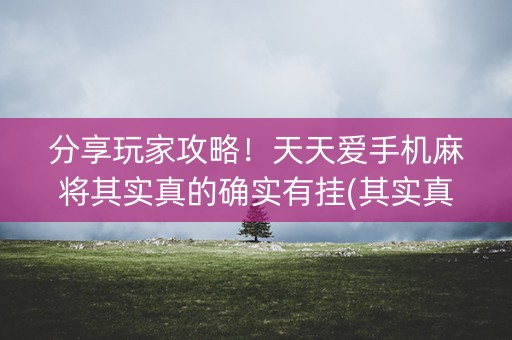 分享玩家攻略！天天爱手机麻将其实真的确实有挂(其实真的有挂)
