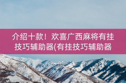介绍十款！欢喜广西麻将有挂技巧辅助器(有挂技巧辅助器)