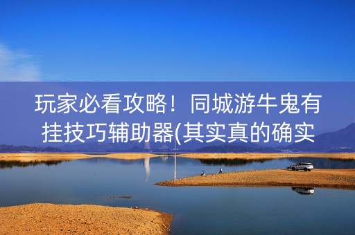 玩家必看攻略！同城游牛鬼有挂技巧辅助器(其实真的确实有挂)