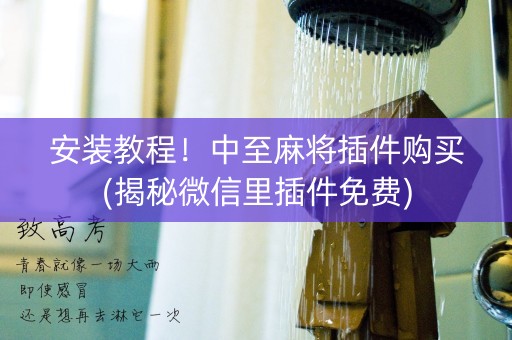 安装教程！中至麻将插件购买(揭秘微信里插件免费)