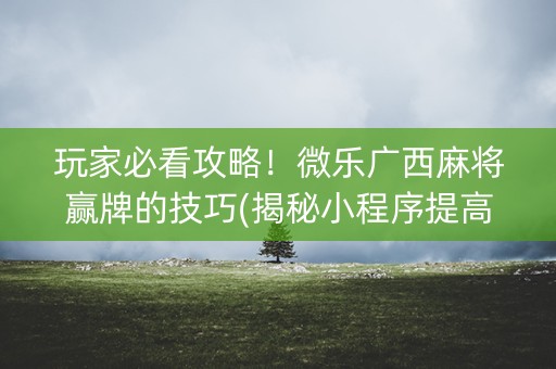 玩家必看攻略！微乐广西麻将赢牌的技巧(揭秘小程序提高胜率)