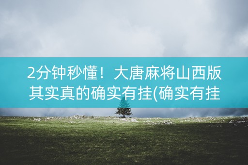 2分钟秒懂！大唐麻将山西版其实真的确实有挂(确实有挂吗)