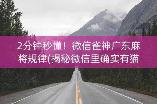 2分钟秒懂！微信雀神广东麻将规律(揭秘微信里确实有猫腻)