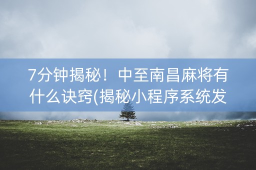 7分钟揭秘！中至南昌麻将有什么诀窍(揭秘小程序系统发好牌)