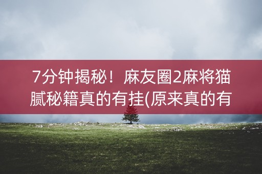 7分钟揭秘！麻友圈2麻将猫腻秘籍真的有挂(原来真的有挂)