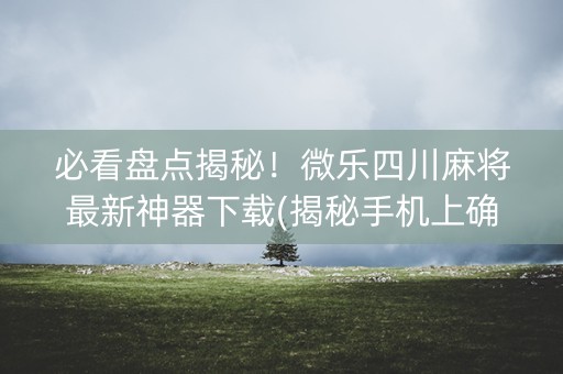 必看盘点揭秘！微乐四川麻将最新神器下载(揭秘手机上确实有猫腻)