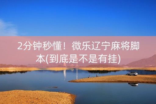 2分钟秒懂！微乐辽宁麻将脚本(到底是不是有挂)