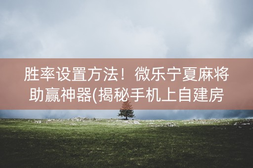 胜率设置方法！微乐宁夏麻将助赢神器(揭秘手机上自建房怎么赢)