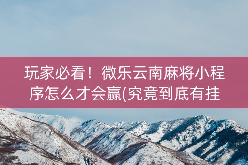 玩家必看！微乐云南麻将小程序怎么才会赢(究竟到底有挂吗)