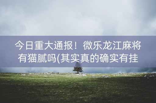 今日重大通报！微乐龙江麻将有猫腻吗(其实真的确实有挂)